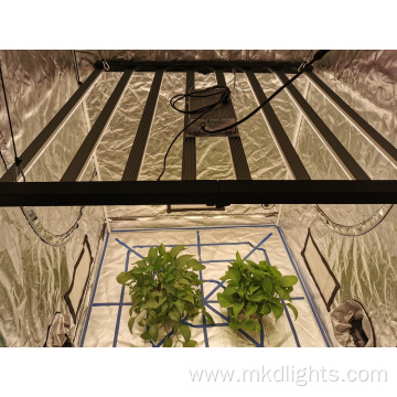 Full Spectrum LED Grow Light 640W 1000W Dimmable